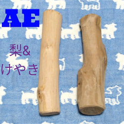 AE.けやき梨の木新品.犬用おもちゃ、中型犬向け歯固め、かじり木 1枚目の画像
