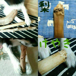 AE.けやき梨の木新品.犬用おもちゃ、中型犬向け歯固め、かじり木 11枚目の画像