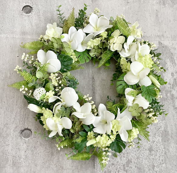 Plumeria wreath IV 1枚目の画像