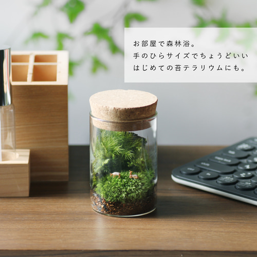苔の箱庭テラリウム 小鹿がたたずむ苔の森 テラリウム mofumoss