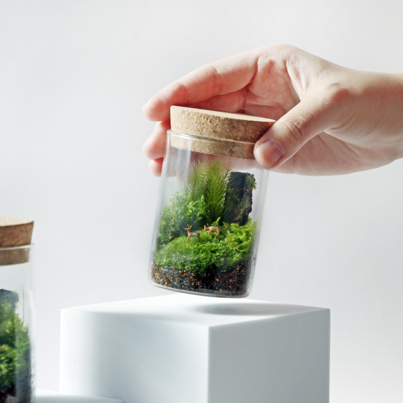 苔の箱庭テラリウム 小鹿がたたずむ苔の森 6枚目の画像