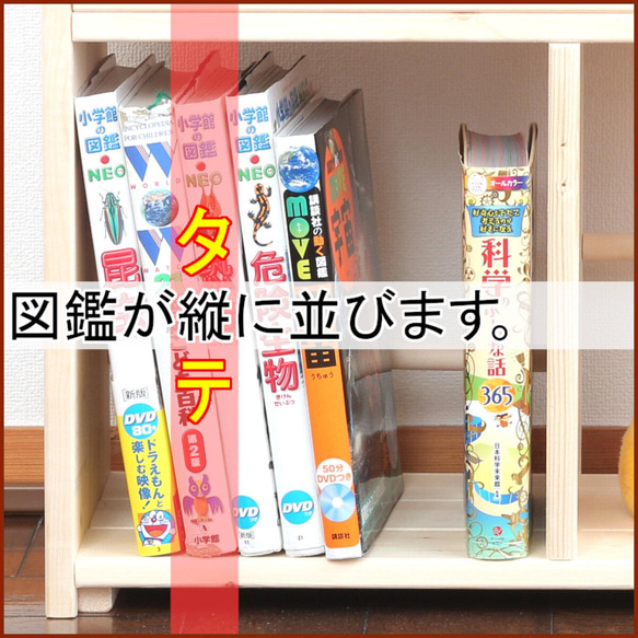 絵本棚 W60cmCS Maple poppo 無塗装 無垢材 マガジンラック 絵本棚 本棚 子ども 安全 収納 片付け 7枚目の画像