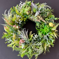 Green wreath plants「受注制作」 4枚目の画像