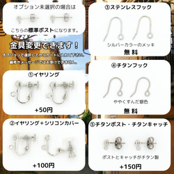 セロトニンピアス（片耳）医療系・理系がグッとくる構造式 7枚目の画像