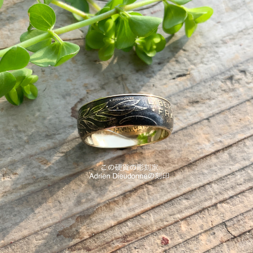 Llife BOTTON BAND RING｜Llife BOTTON BAND RING 16号 LIDNM / Llife