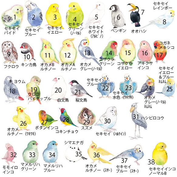 鳥・インコの箸置き5匹セット（80羽から選べる） 9枚目の画像