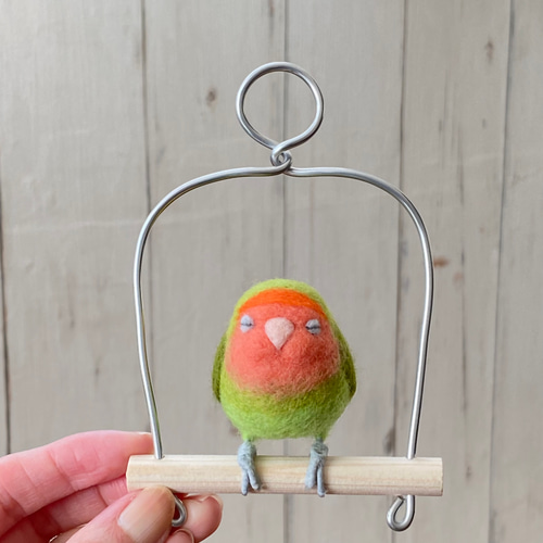 ふくふくおねむな手乗りインコ（コザクラインコ・ノーマル）オーダー