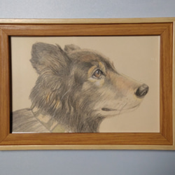 ペットの似顔絵 　色鉛筆画　ポストカード大　フレーム付き 4枚目の画像