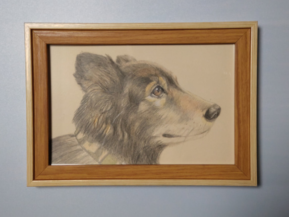 ペットの似顔絵 　色鉛筆画　ポストカード大　フレーム付き 4枚目の画像