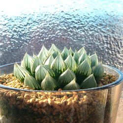 4baa7720689d1827ab9f674673b129