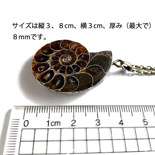 1.1億年前的菊石項鍊L 項鍊nekonojimusho 的作品2690202｜Creema