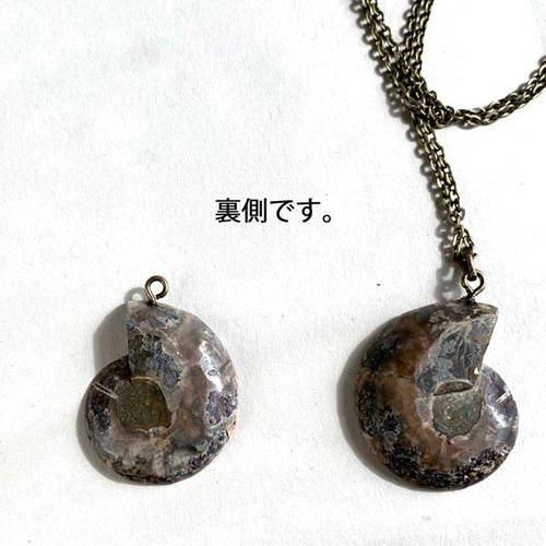 1.1億年前的菊石項鍊L 項鍊nekonojimusho 的作品2690202｜Creema