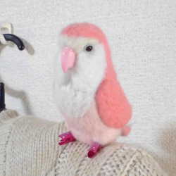 Wool clip 　Lovebird2 第2張的照片