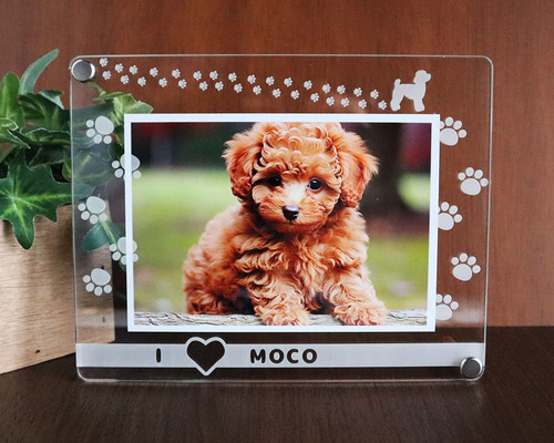 ae95dc71f89ba78a32eb69d62b776b