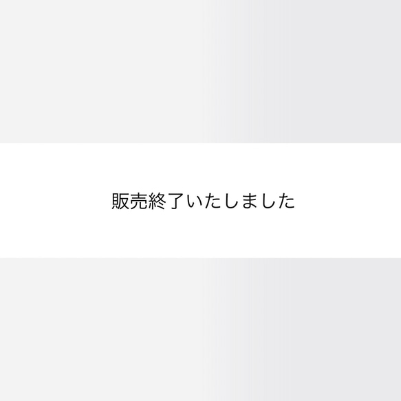 販売終了 1枚目の画像