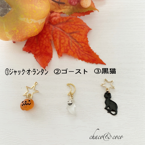 HIDE イヤリング ピアス チャーム Jealousy ツアーグッズ レア HIDE