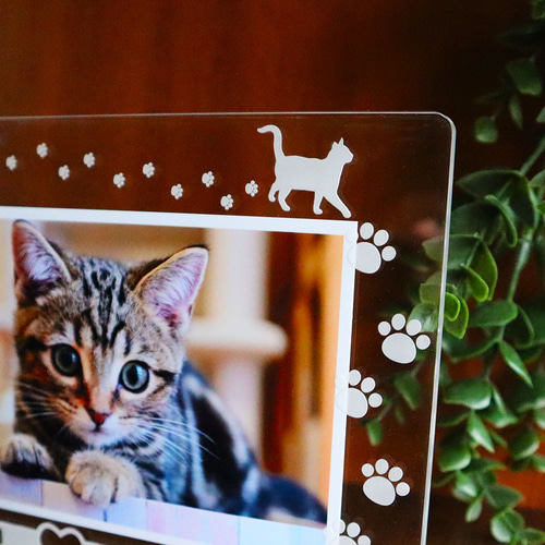 ☆ 猫種50種選べる☆肉球あしあと アクリル フォトフレーム(L判サイズ