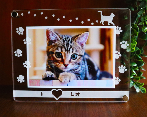 ♥海外からやってきた物♥親子猫のフォトフレーム 写真立て