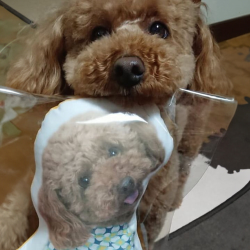 ビーグル テディベア ぬいぐるみうちの子グッズ ペットロス ビーグル テディベア ぬいぐるみうちの子グッズ ペットロス