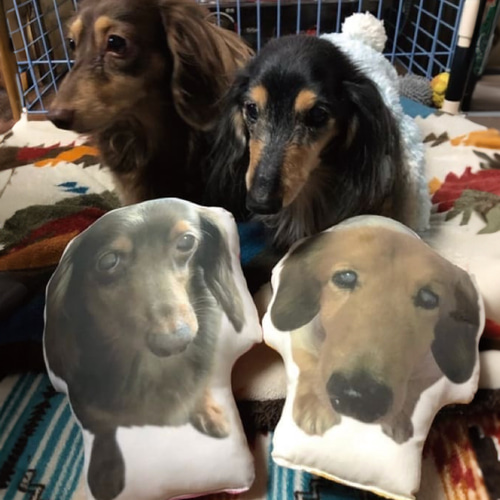 犬 猫 ペット クッション メモリアル ぬいぐるみ うちの子