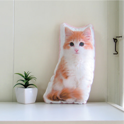 成人式扇子受付します♡プロ読様★カートクッション★キャリークッション★犬 猫 楽天市場】【オーダーメイド】抱き枕 クッション オーダーメイド