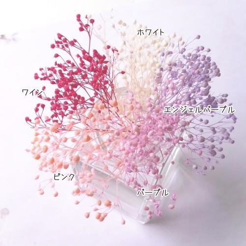 かすみ草5色セット ピンク系 (プリザーブドフラワー ハーバリウム 花材