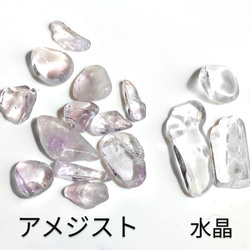  第5張的照片