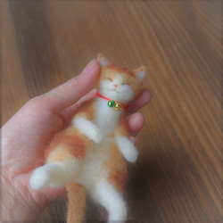 お皿ねこ　おあげ　Φ12.5cm 4枚目の画像