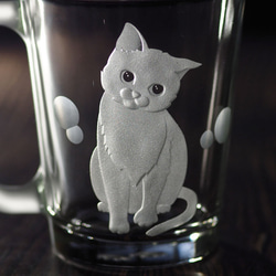 猫ロックグラス・マグカップ「ん？」 3枚目の画像