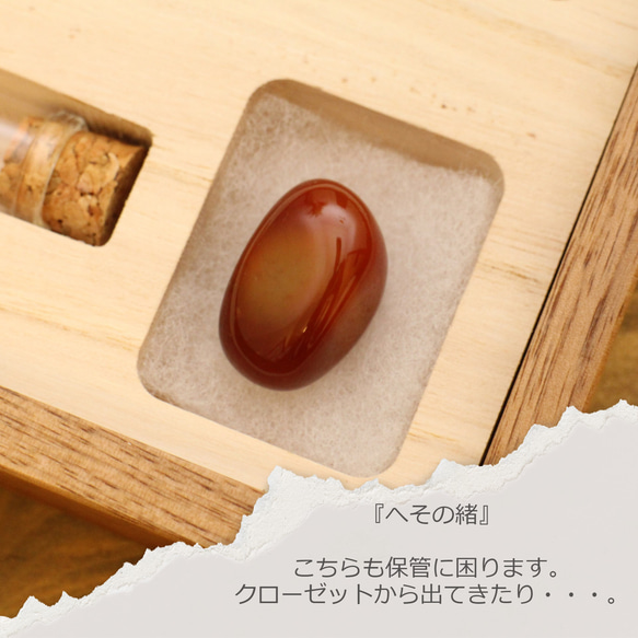 お子様 成長の軌跡3点BOX 乳歯・へその緒・髪の毛　Walnut／Ash／Monkeypod 8枚目の画像