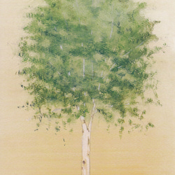 ポストカード・水彩シリーズ　5枚セット　他の組合せも可 6枚目の画像