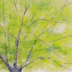 ポストカード・水彩シリーズ　5枚セット　他の組合せも可 4枚目の画像