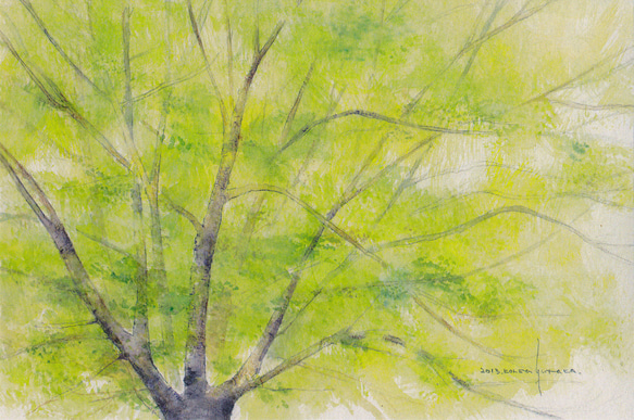 ポストカード・水彩シリーズ　5枚セット　他の組合せも可 4枚目の画像