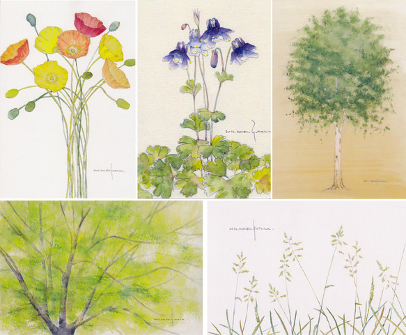 ポストカード・水彩シリーズ　5枚セット　他の組合せも可 1枚目の画像