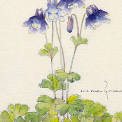 ポストカード・水彩シリーズ　5枚セット　他の組合せも可 3枚目の画像