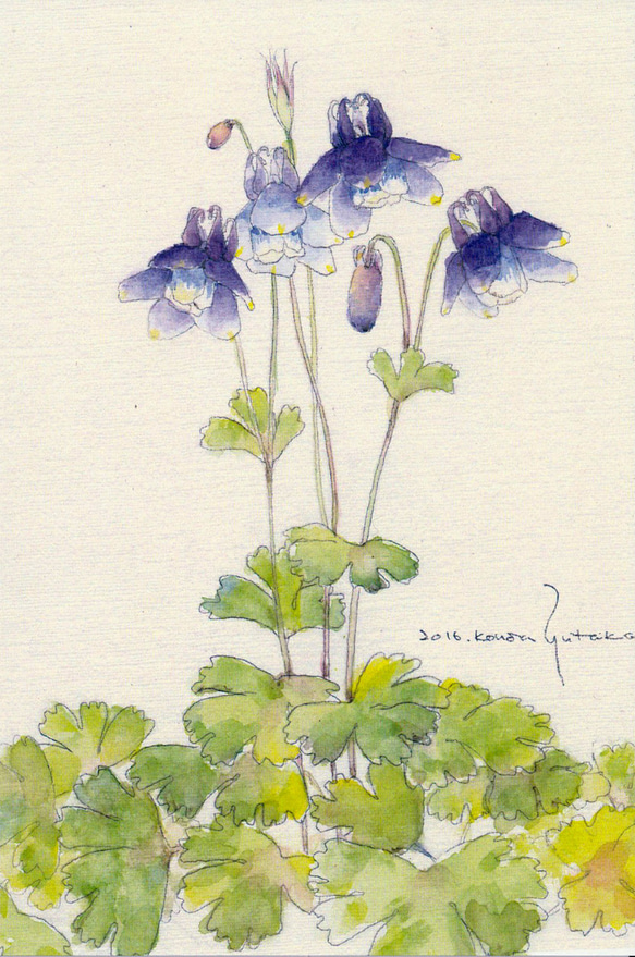 ポストカード・水彩シリーズ　5枚セット　他の組合せも可 3枚目の画像