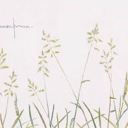 ポストカード・水彩シリーズ　5枚セット　他の組合せも可 5枚目の画像