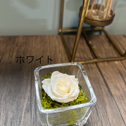 glass cube rose 〜ガラスに入った可愛いプリザーブドフラワー〜1輪のバラ〜（受注制作）バラ　ローズ 6枚目の画像