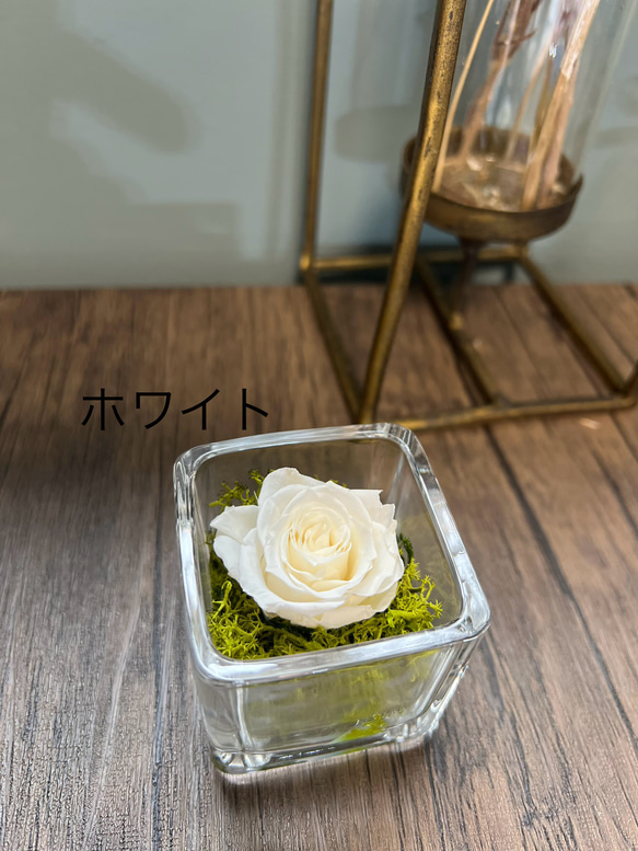 glass cube rose 〜ガラスに入った可愛いプリザーブドフラワー〜1輪のバラ〜（受注制作）バラ　ローズ 6枚目の画像