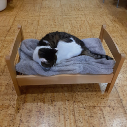 猫用ベッド　木製ペットベッド　天然木　ペットベッド　手作りベッド　スノコベッド　猫用寝台 6枚目の画像
