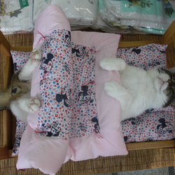 猫用ベッド　木製ペットベッド　天然木　ペットベッド　手作りベッド　スノコベッド　猫用寝台 12枚目の画像