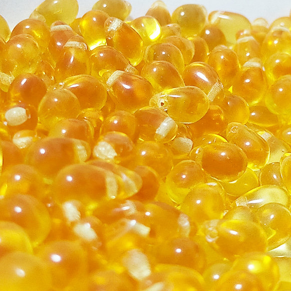  第3張的照片
