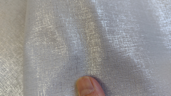  第3張的照片
