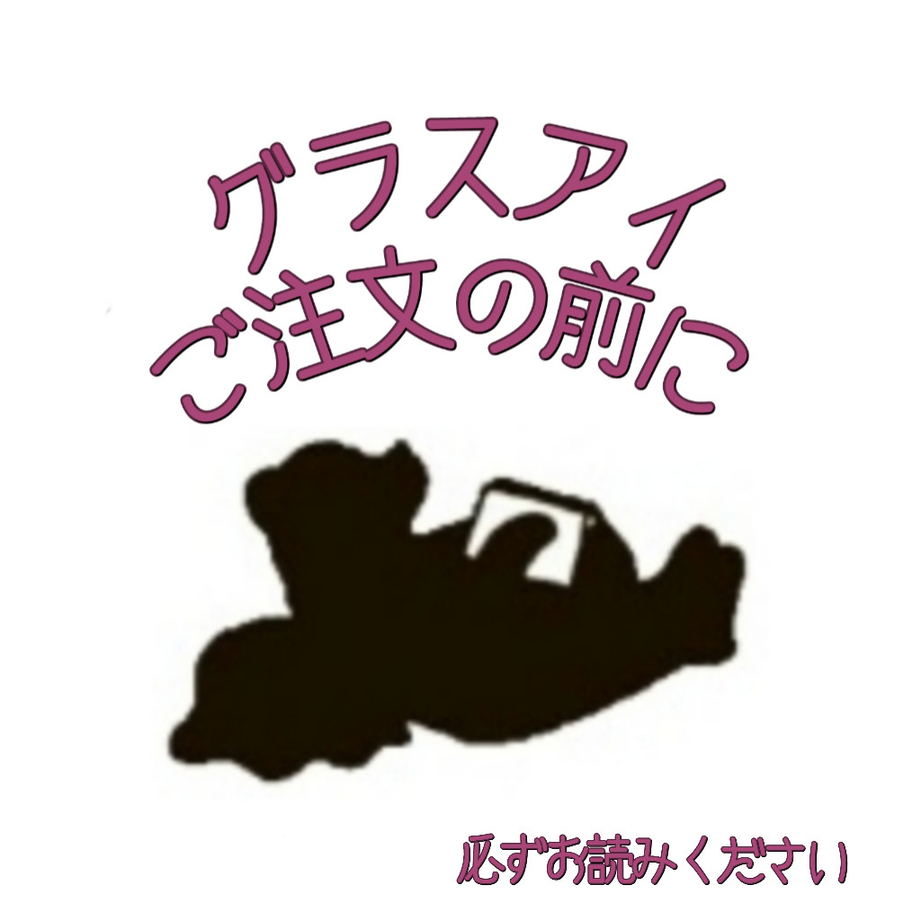 必ずお読みください～グラスアイご注文の前に