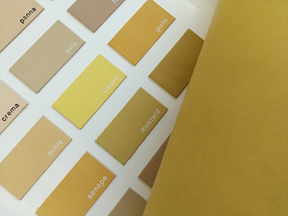 TEMPESTI社 MAINE #mustard 76デシ 厚さ 2.0mm 1枚目の画像