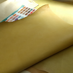 TEMPESTI社 MAINE #mustard 76デシ 厚さ 2.0mm 4枚目の画像
