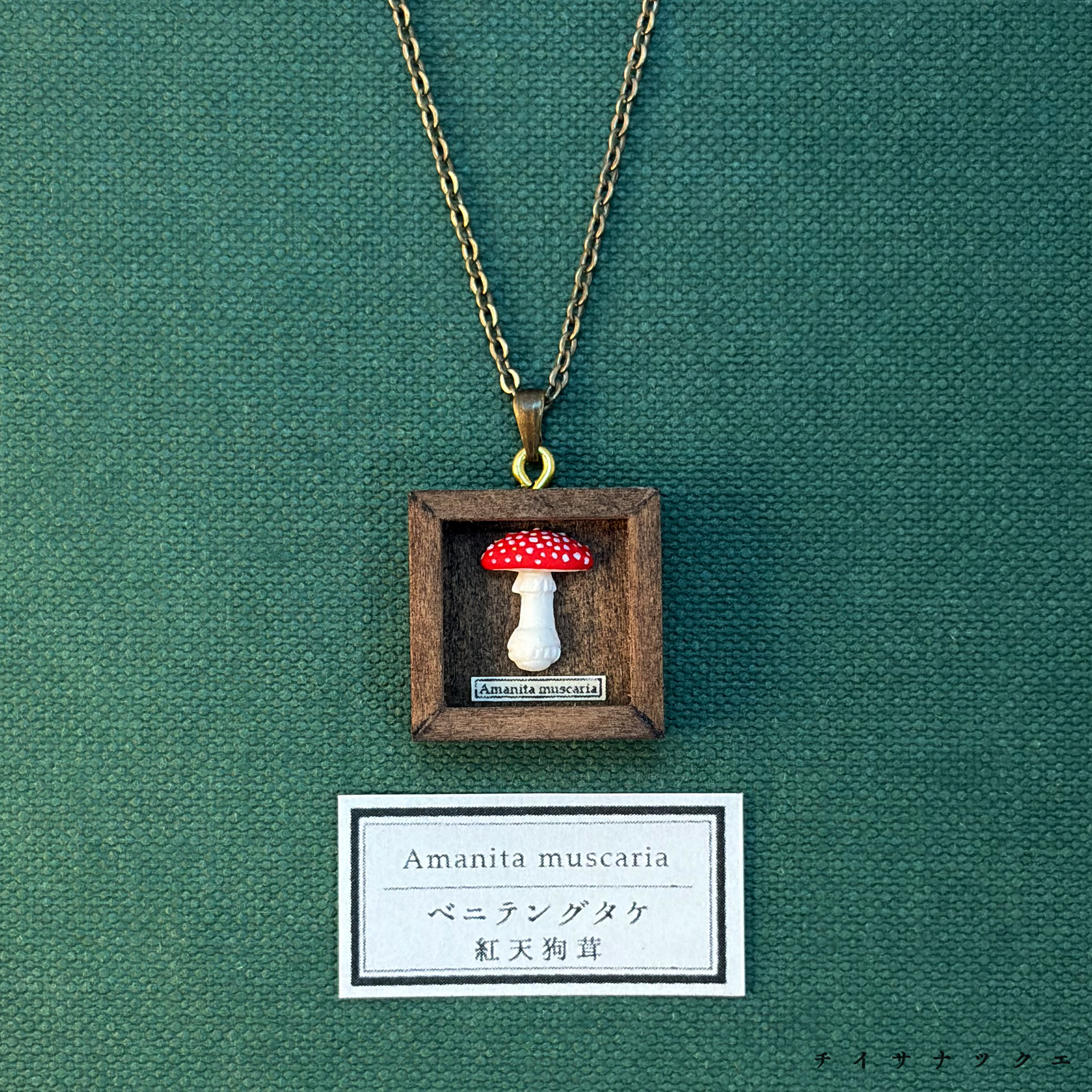 ミニチュア標本ネックレス ネックレス・ペンダント shiori 通販