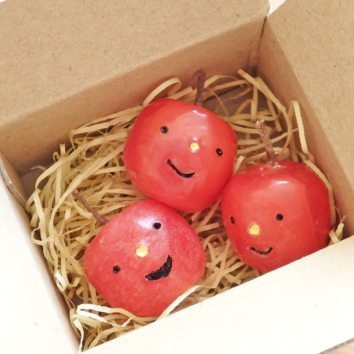 とのちゃん りんご箱 3箱 & 角箱 2箱 とのちゃん様専用 りんご箱 3箱 & 角箱 2箱