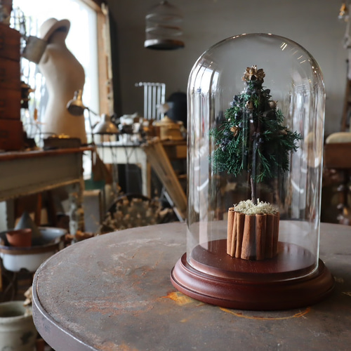 再販×over100】ガラスドームクリスマスツリー プリザーブドフラワー