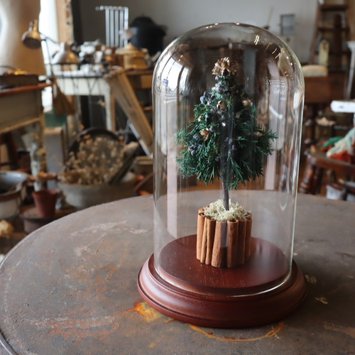 再販×over100】ガラスドームクリスマスツリー プリザーブドフラワー